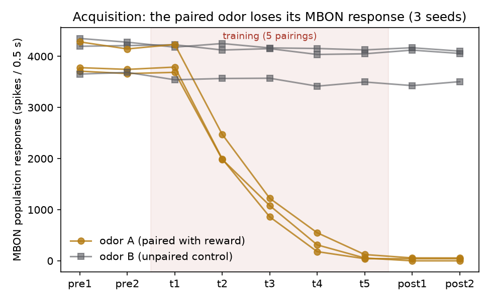 Line chart: MBON response to the paired odor falls from about 4000 spikes to near zero across five training pairings in three seeds, while the unpaired control odor stays flat